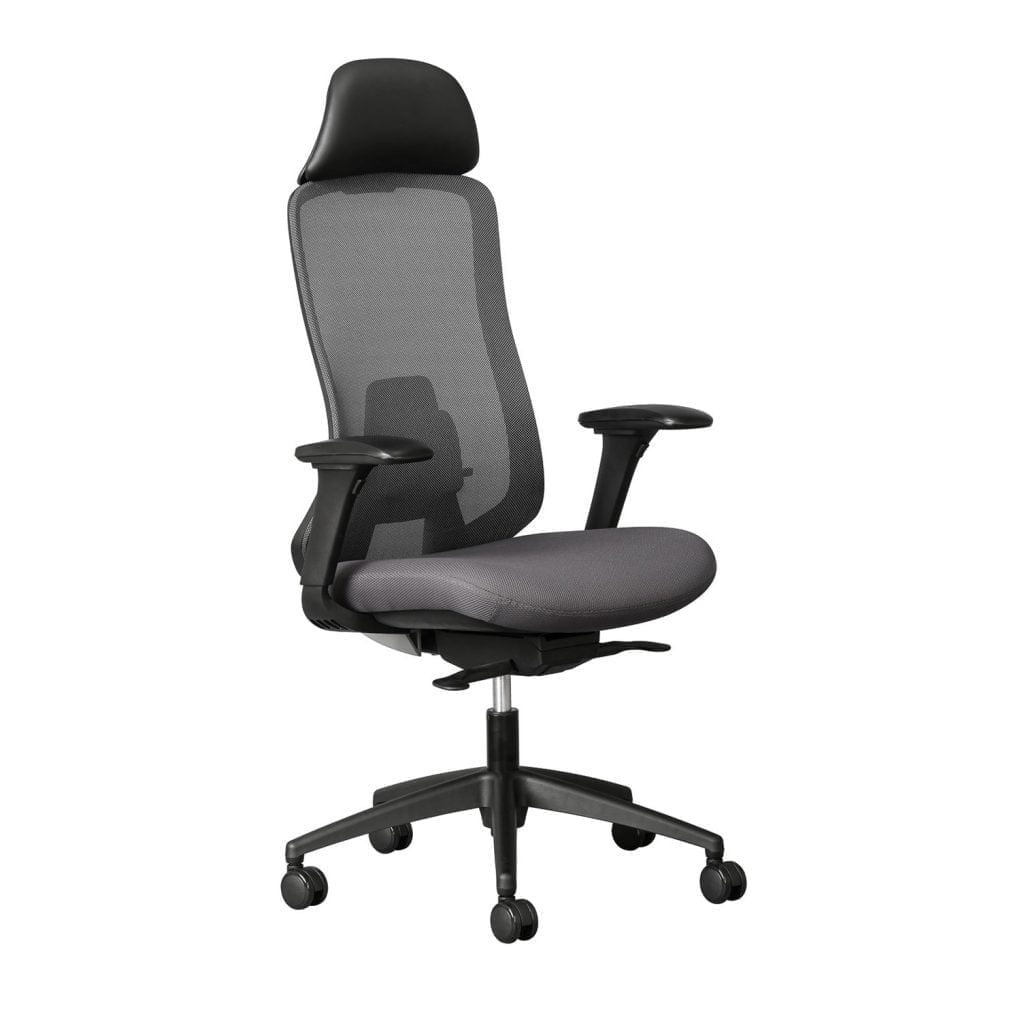 Vera Mesh Executive Office and desk chair available in south africa