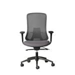 Vera Mesh Task Ergonomic Office chair available to buy online in South Africa