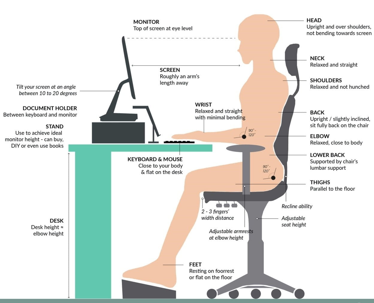 ergonomic presentation for office workers