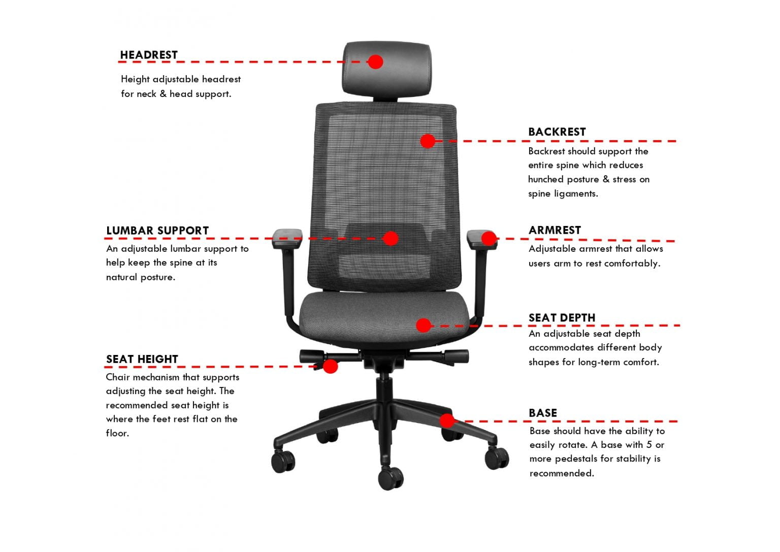 How to adjust your chair for the correct sitting posture - Karo