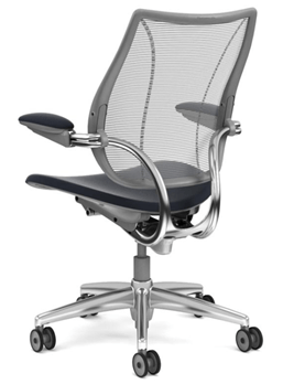 the expensive humanscale office Chair