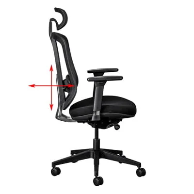 lumbar adjustment on office chair
