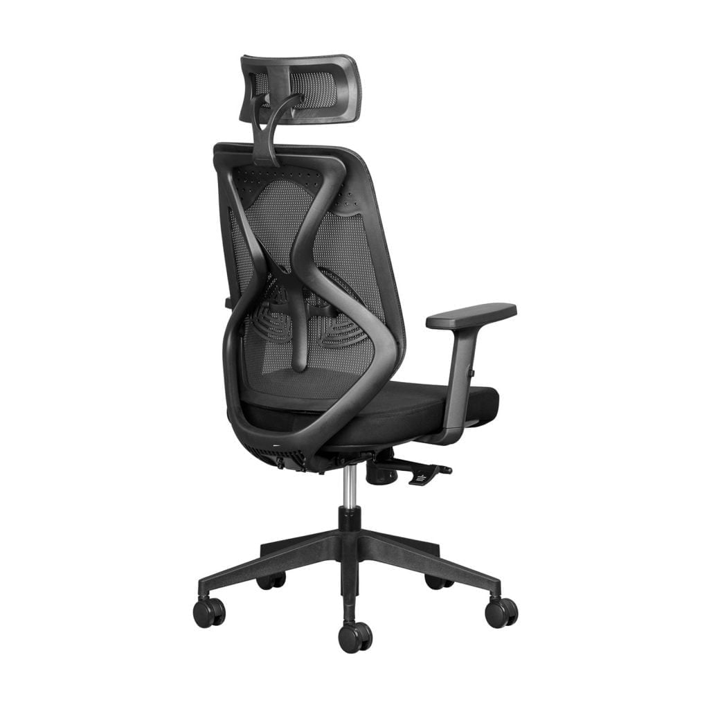 Leila Executive ergonomic office and desk chair available for sale in south africa