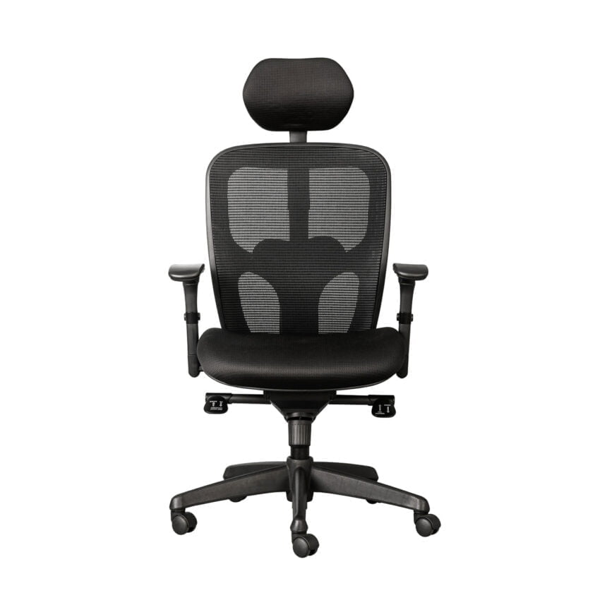 Leila Ergonomic Office Chair Karo