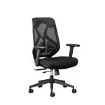 leila ergonomic task office chair