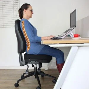 orthopedic office chair