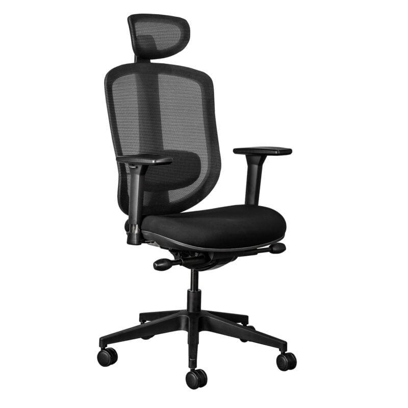 ergocurve ergonomic office chair with headrest