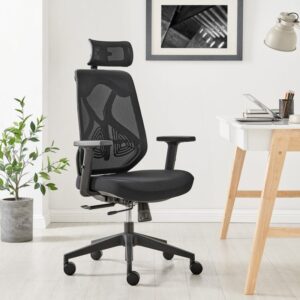 leila mesh office chair is the best value ergonomic chair in South Africa