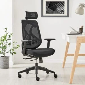 leila mesh office chair is the best value ergonomic chair in South Africa