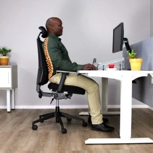 orthopedic office chair