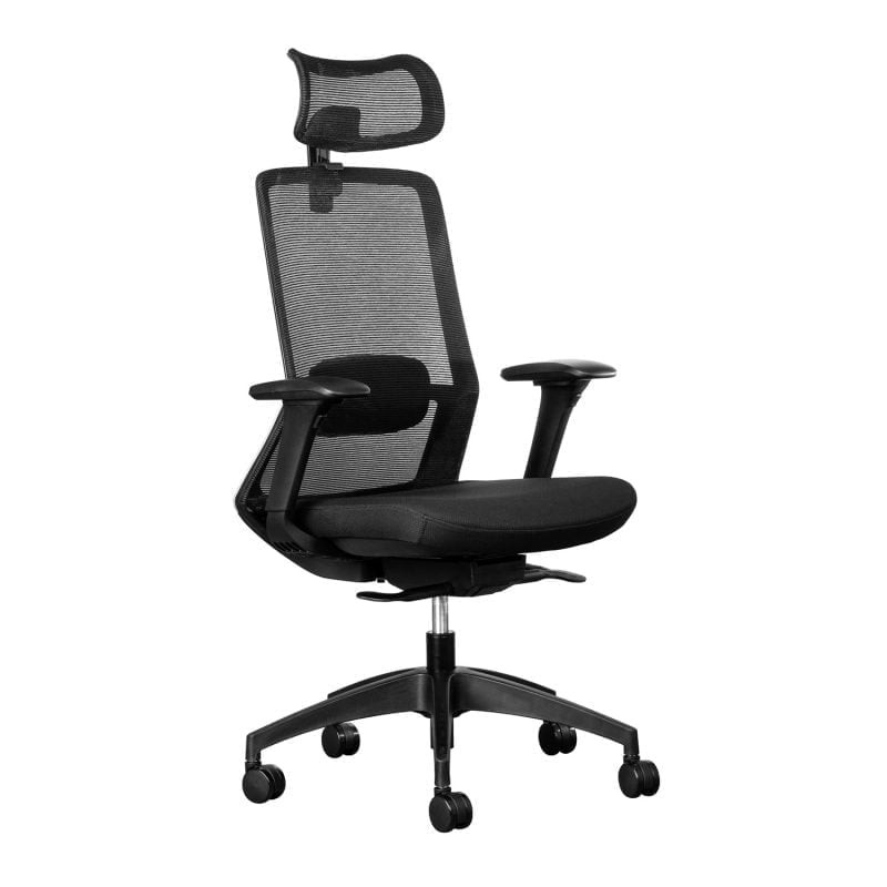 capri ergonomic office chair
