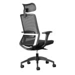 capri ergonomic office chair