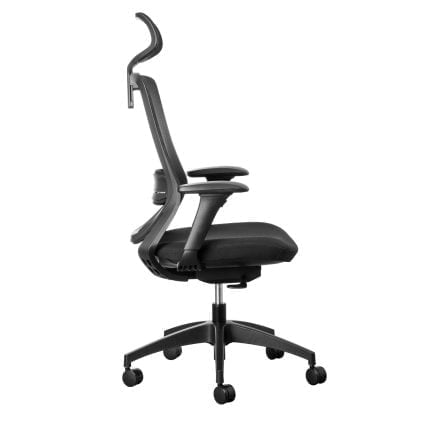 fenix ergonomic office chair