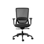 fenix ergonomic office chair