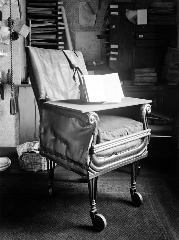 charles darwin office chair