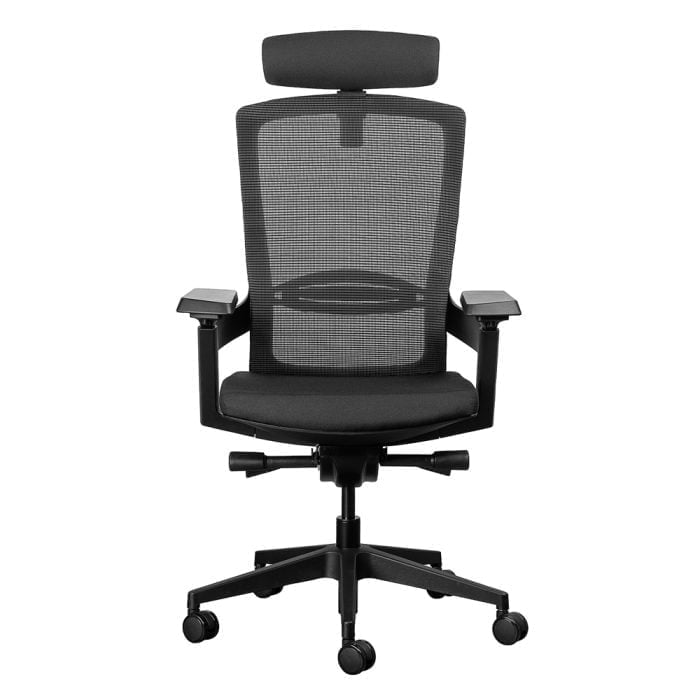 Leila Ergonomic Office Chair Karo