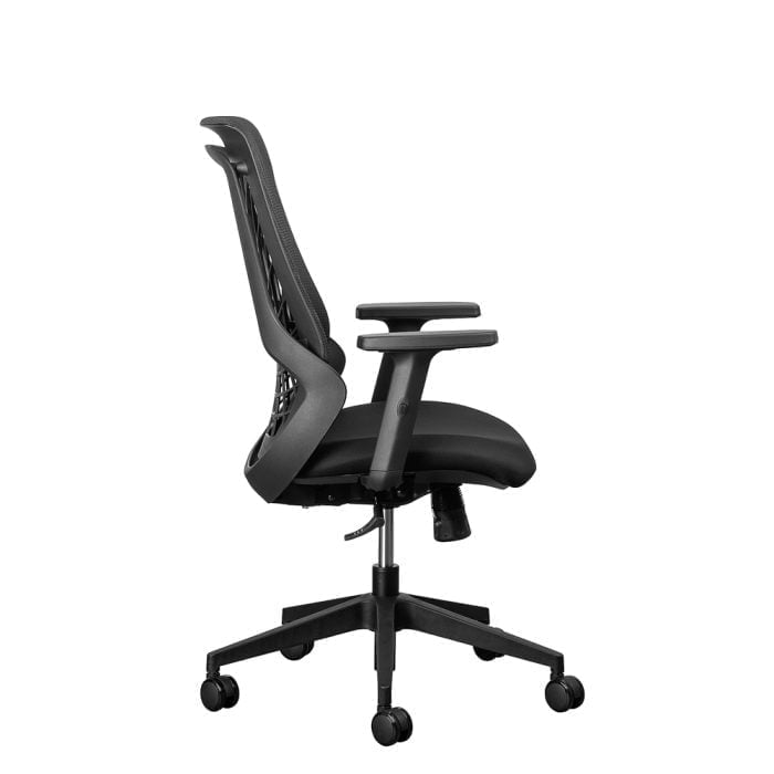 Lynx Ergonomic Office Chair Karo