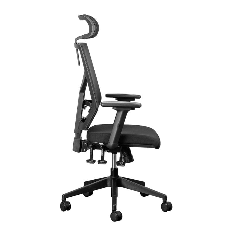 Orthopedic Office Chairs Karo Relieve Back Pain & Improve Posture