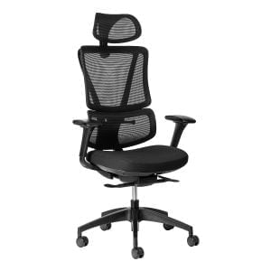 ergoback ergonomic office chair
