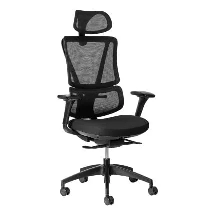ergoback ergonomic office chair