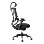 ergoback ergonomic office chair