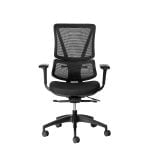 ergoback ergonomic office chair