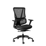 ergoback ergonomic office chair