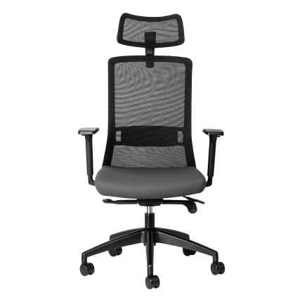 luna ergonomic office chair