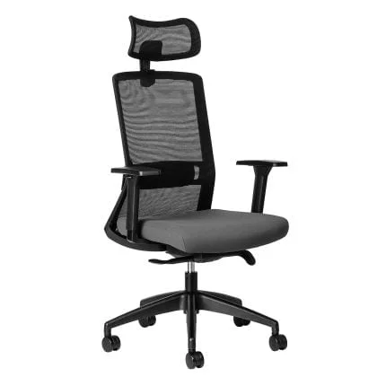 luna ergonomic office chair