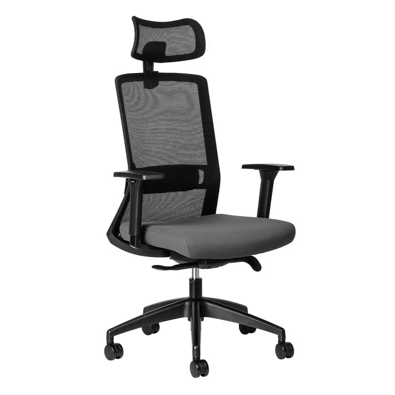 luna ergonomic office chair