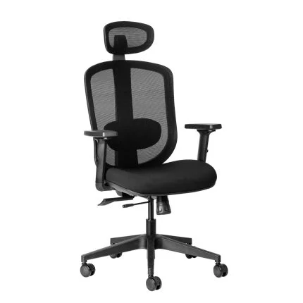 ErgoCurve ergonomic office chair with synchro mechanism and adjustable armrests