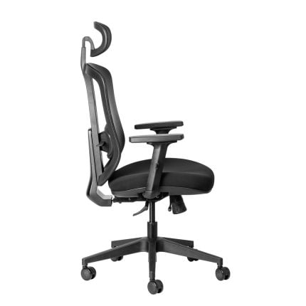 ErgoCurve ergonomic office chair with synchro mechanism and adjustable armrests