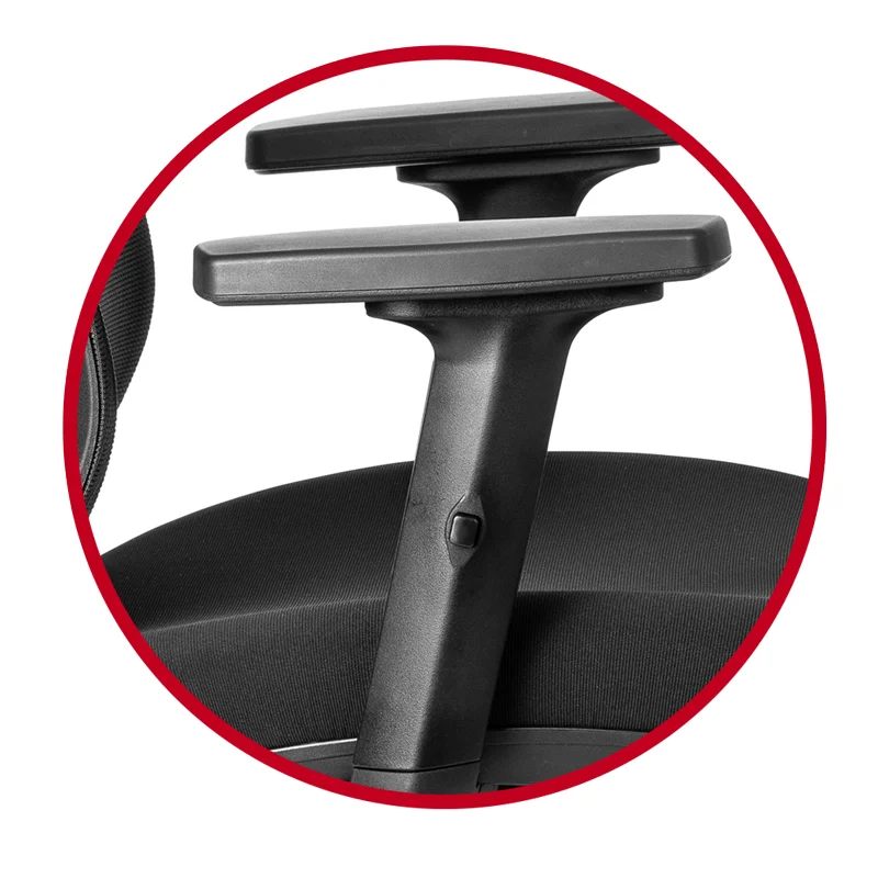 ErgoCurve ergonomic office chair with synchro mechanism and adjustable armrests