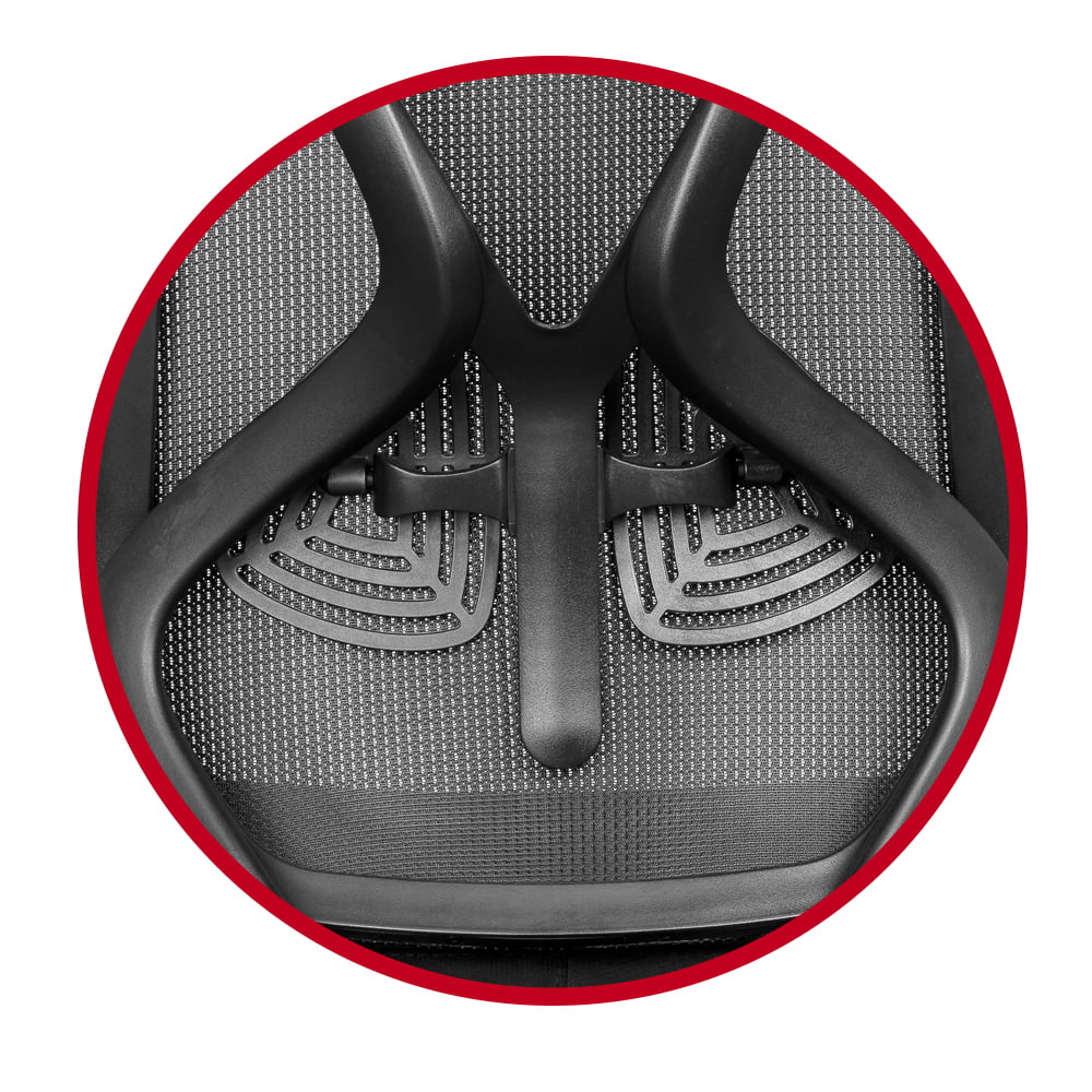 back support on leila ergonomic office chair