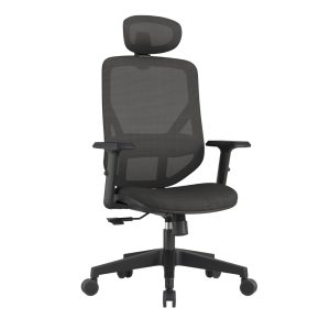 Nova Ergonomic Office Chair