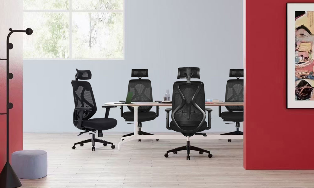 leila ergonomic office chair