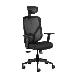 Nova Ergonomic Office Chair