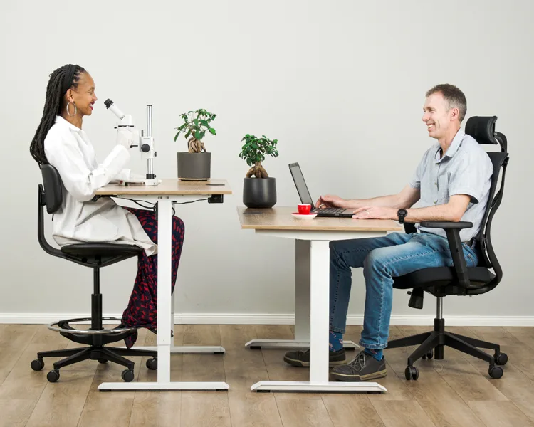 hilo height adjustable desk