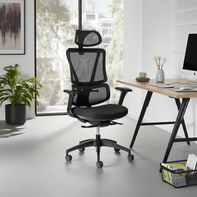 ergoback ergonomic chair