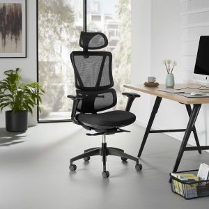 ergoback ergonomic office chair