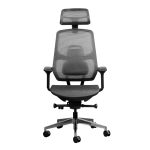 Axis synchro ergonomic office chair with mesh seat and backrest