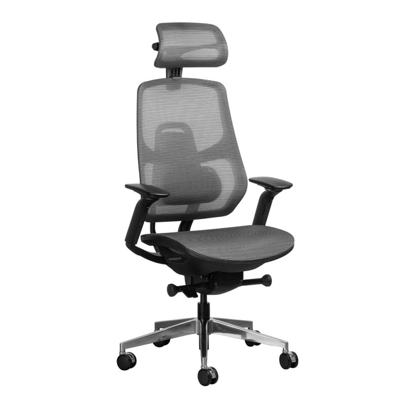 Axis synchro ergonomic office chair with mesh seat and backrest
