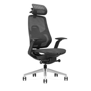 axis ergonomic office chair with headrest