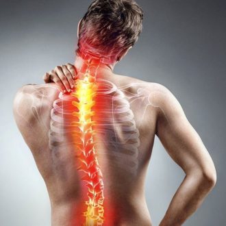 back support is critical on a modern office chair to prevent pain