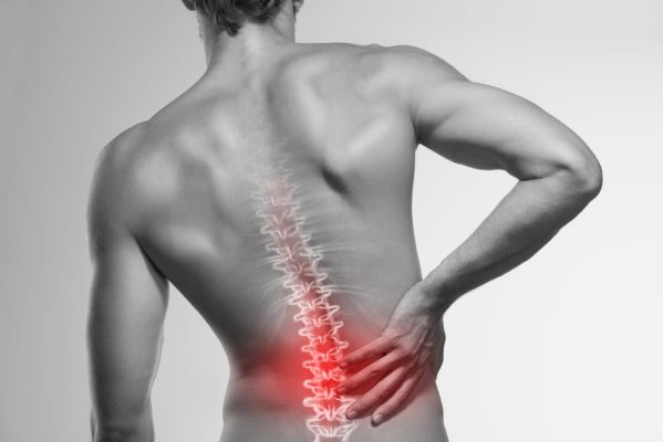 exercises for office workers can prevent back pain